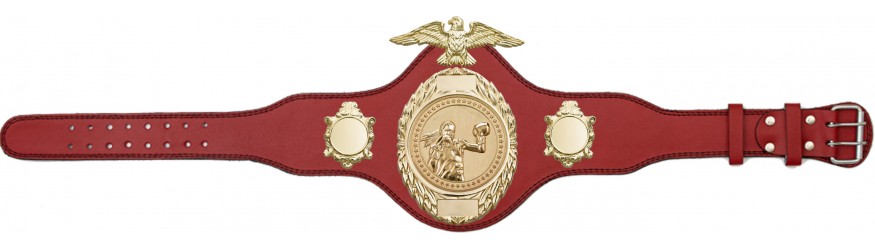 FEMALE BOXING CHAMPIONSHIP BELT-PLT288/G/FEMBOXG-4 COLOURS FEMALE BOXING CHAMPIONSHIP BELT-PLT288/G/FEMBOXG-4 COLOURS